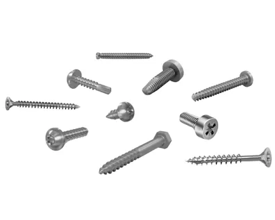 Verschiedene Direktverschraubungsschrauben für Kunststoffe in Metalloptik.