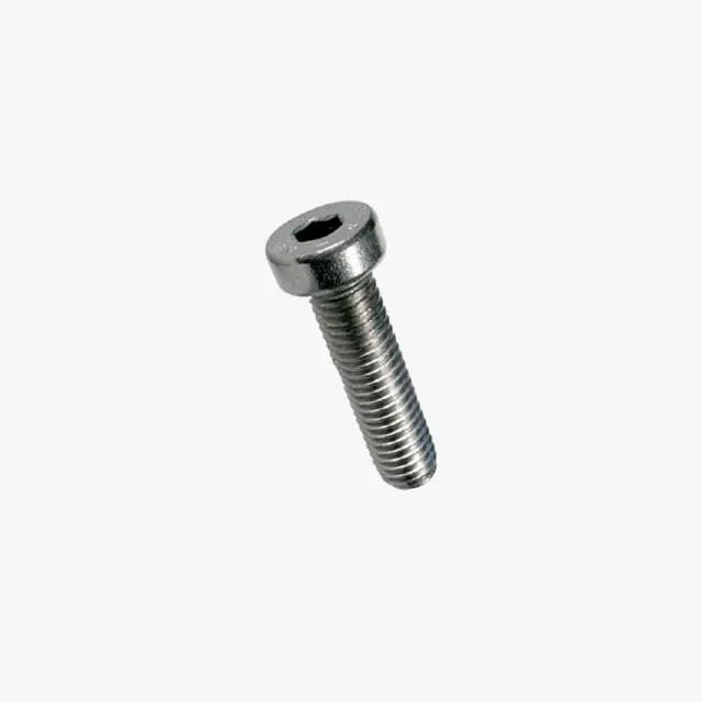Rustfri bolt lavt cylinderhoved din 7984