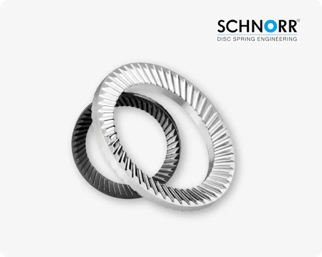 Primo piano di due rondelle di sicurezza SCHNORR® su sfondo grigio chiaro.