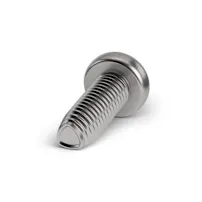 Ein ecosyn IMX Gewindeschneidschraube mit Panhead aus INOX auf weißem Hintergrund.