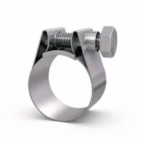 Close-up of a metal hose-clamp on a white background.