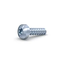 Một vít lắp ráp trực tiếp cho nhựa trên nền trắng.