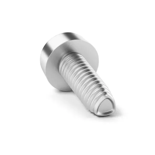 Close-up of a DIN 7500 self-tapping screw for metal