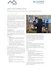 Thumbnail Measuring and Improving Productivity
