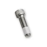 Knurled head screw with white Precote 5 sealing coating on white background.