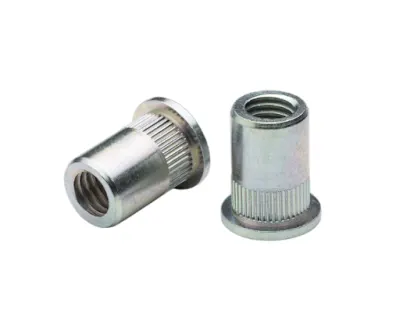 Two FASTEKS FILKO blind rivet nuts with knurled shank on white background