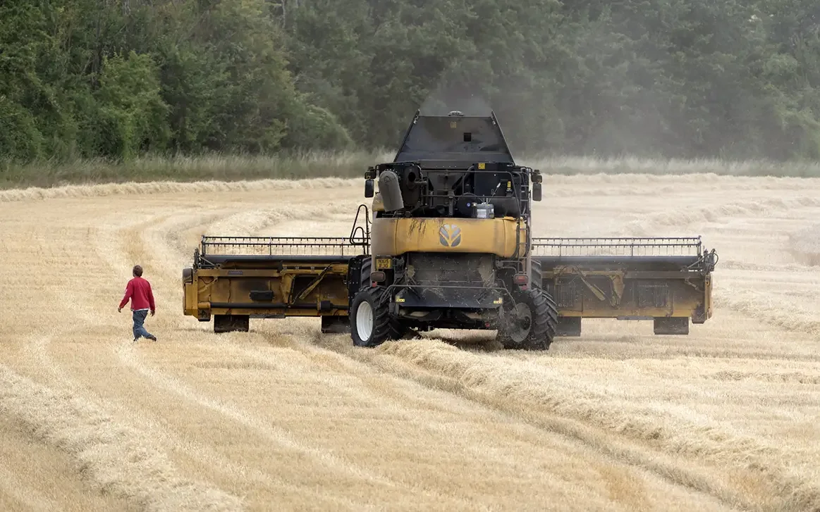 man walks through field with operating combine