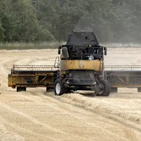 man walks through field with operating combine