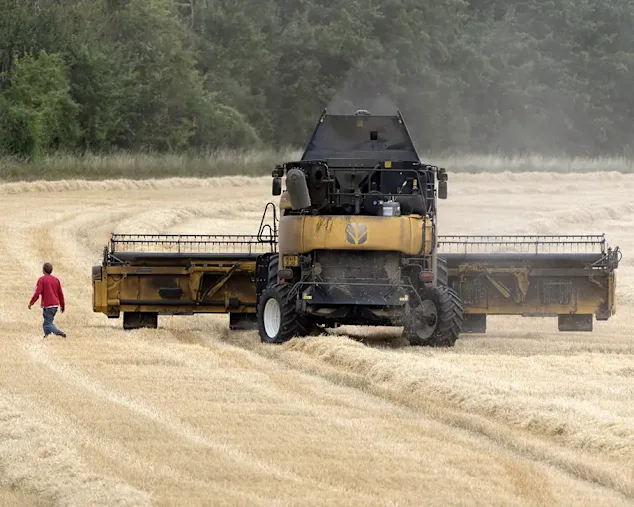 man walks through field with operating combine