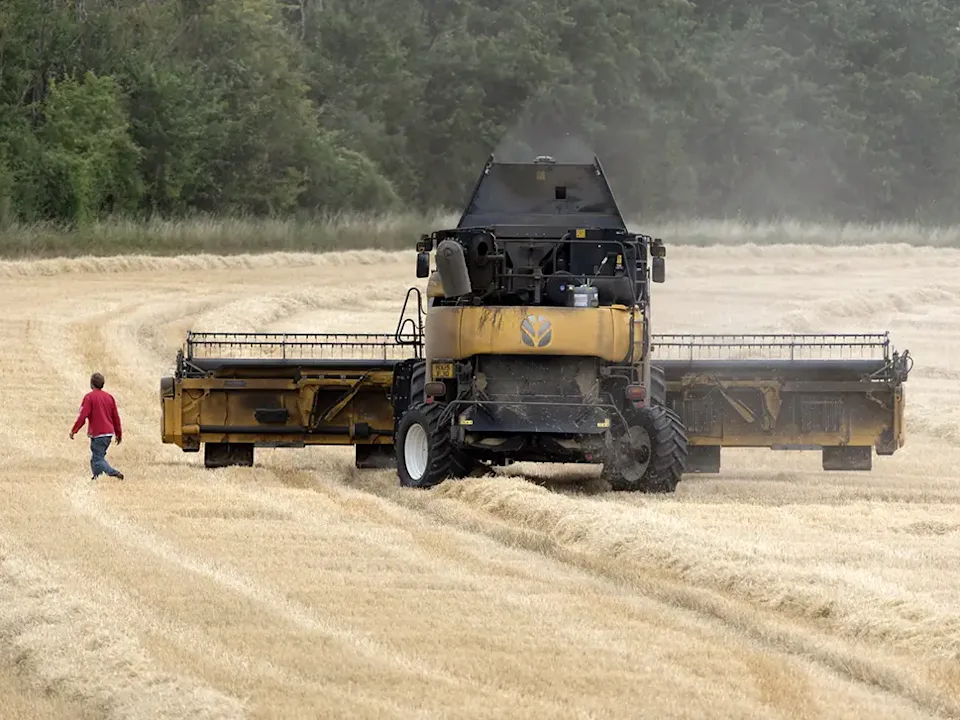 Man walks through field with operating combine