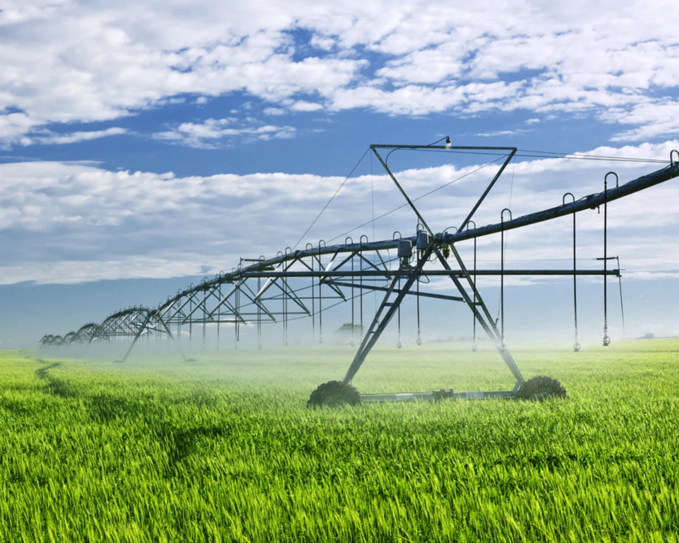 Linear irrigation system watering a green field with a blue sky with clouds in the background