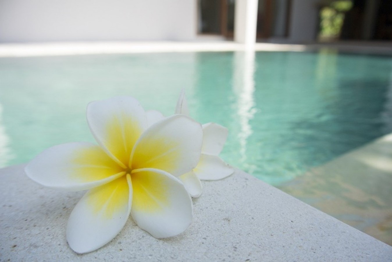 10 Ways to Maintain An Eco-Friendly And More Sustainable Pool