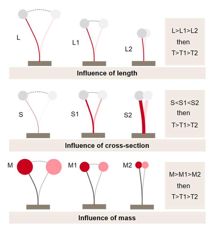 How length L, cross section S and mass M affect the period T of an oscillator