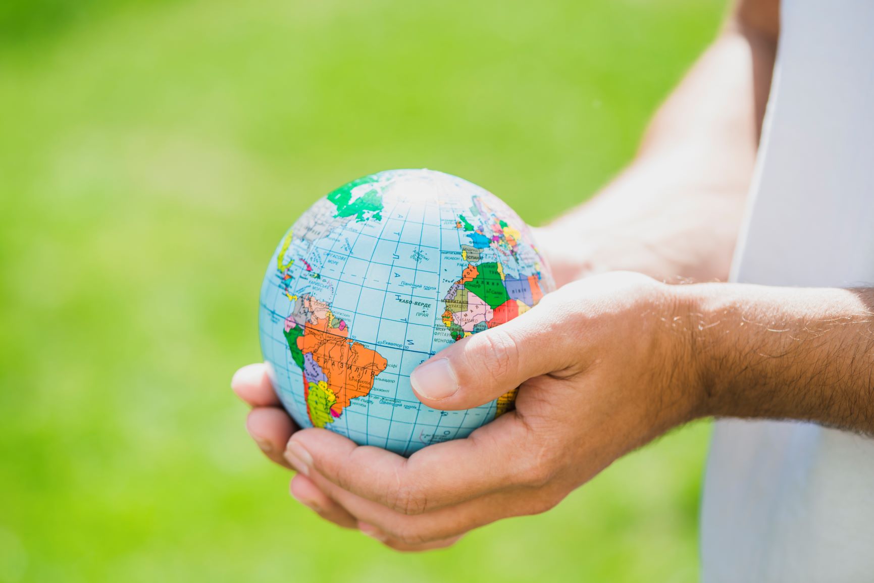 Image 10019_MSM9Y6X_image