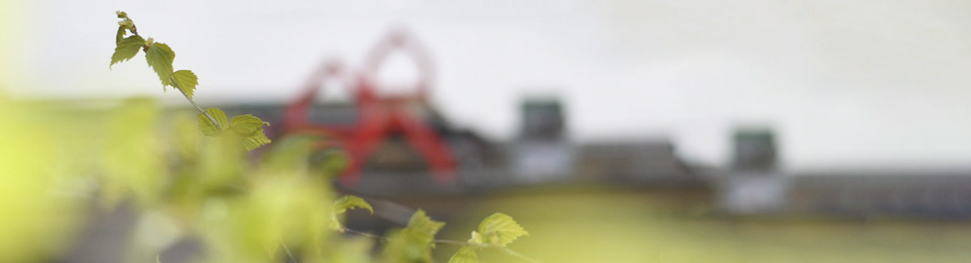 Leikjaskilyrði Hero