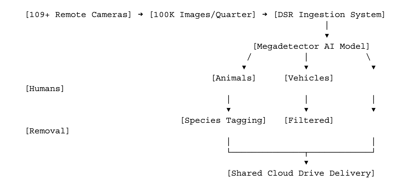 Case Study: Wild Edmonton | Diagram
