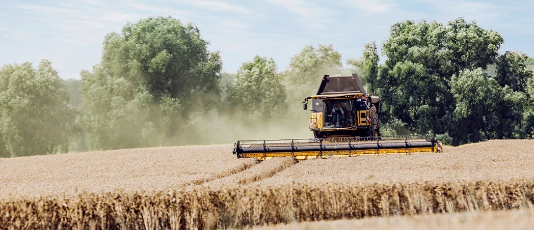Erntemaschine bei der Arbeit
