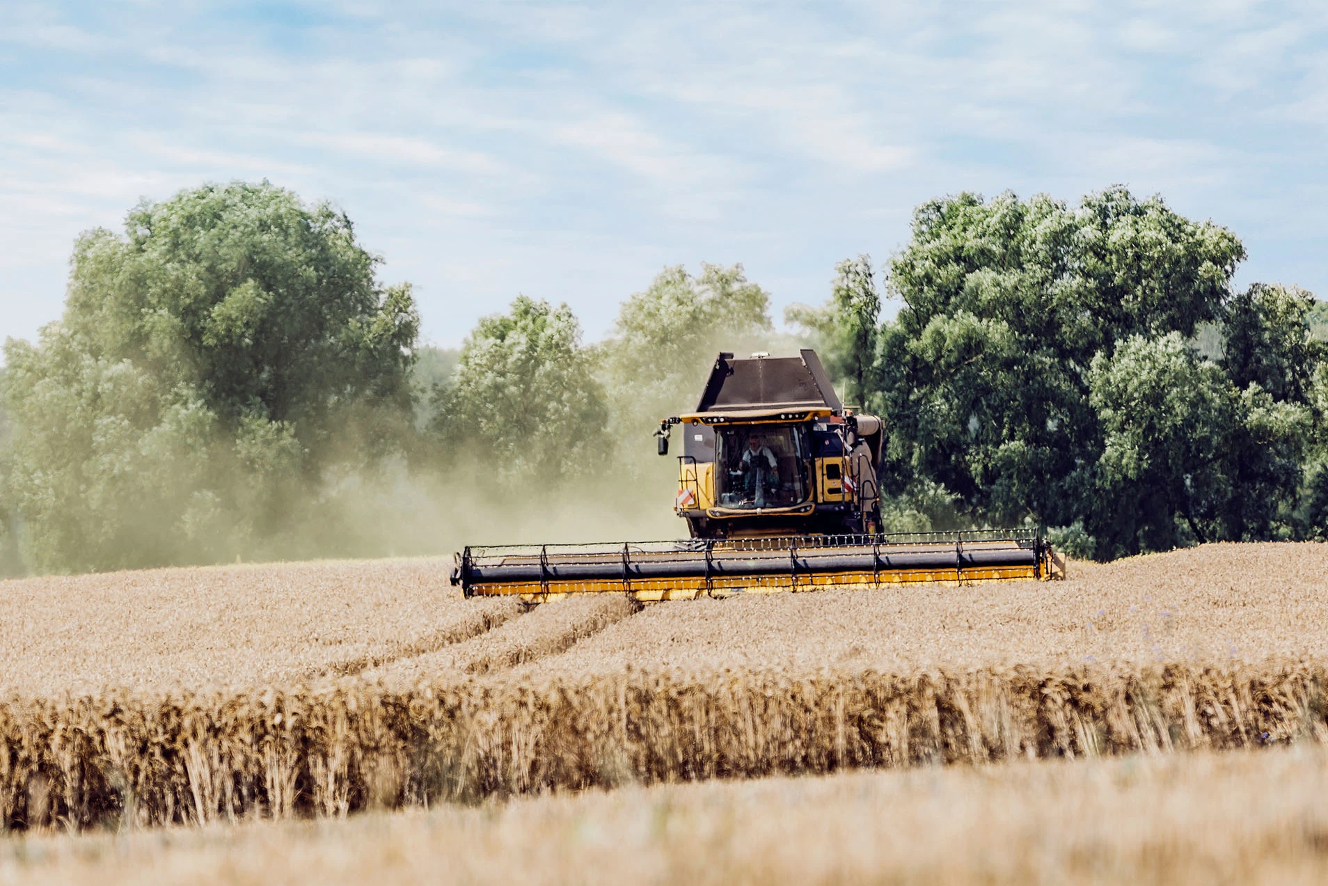 Erntemaschine bei der Arbeit