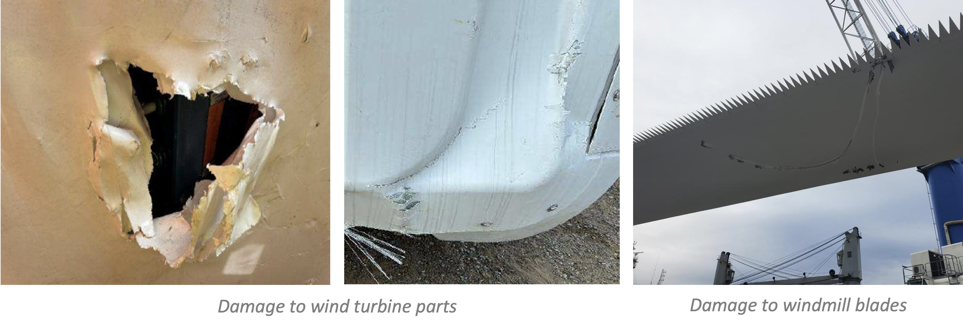 Screenshot 2026-04-13 at 14.16.37