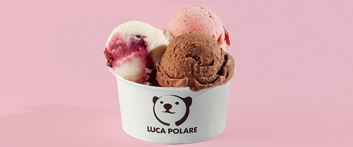 Luca Polare