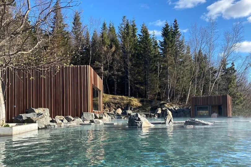 Forest Lagoon1 Forest Lagoon1