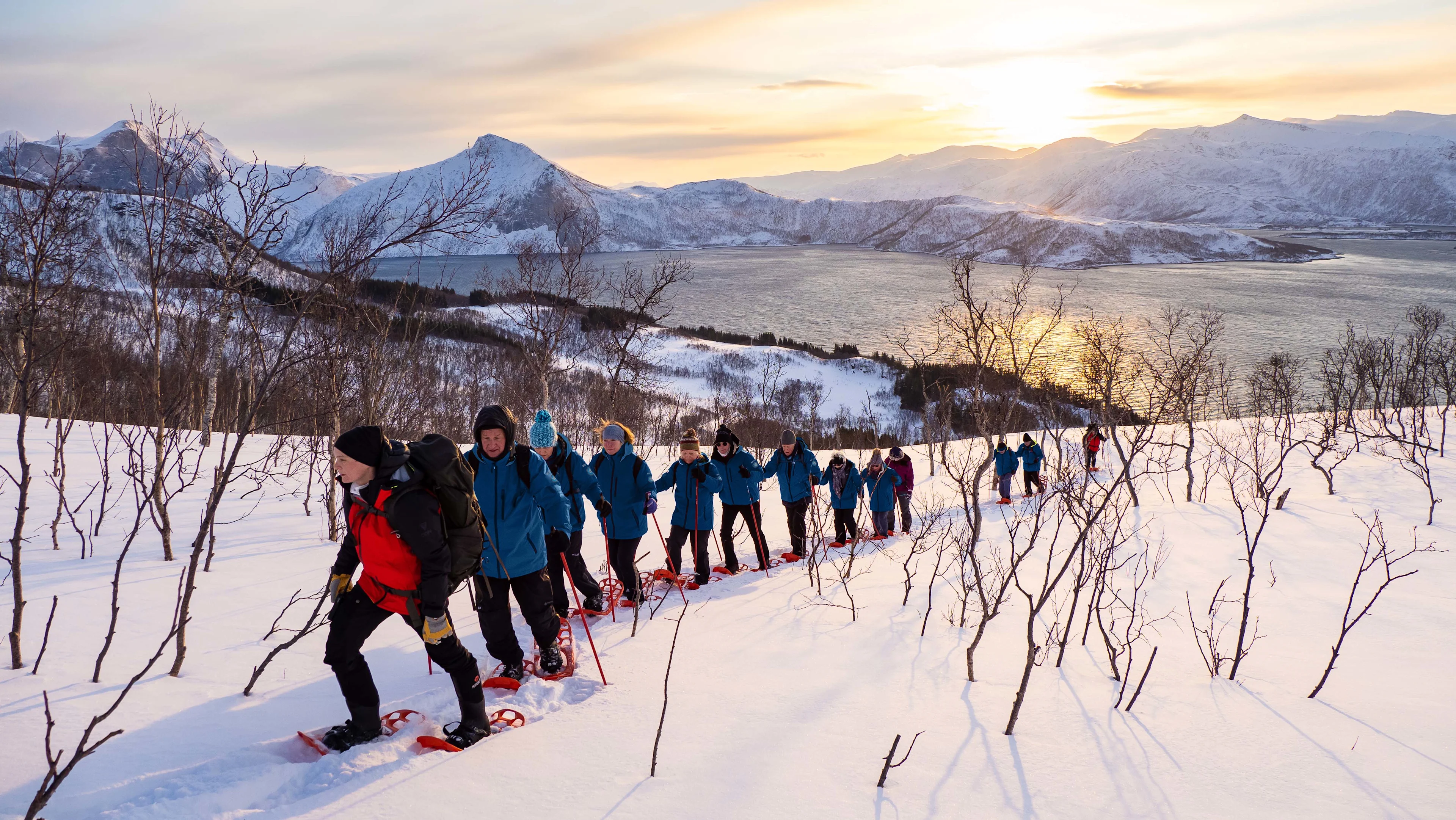 Norway Senja HX 36077 Photo Espen Mills