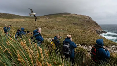Kreuzfahrt Antarktis, Falklandinseln und Südgeorgien