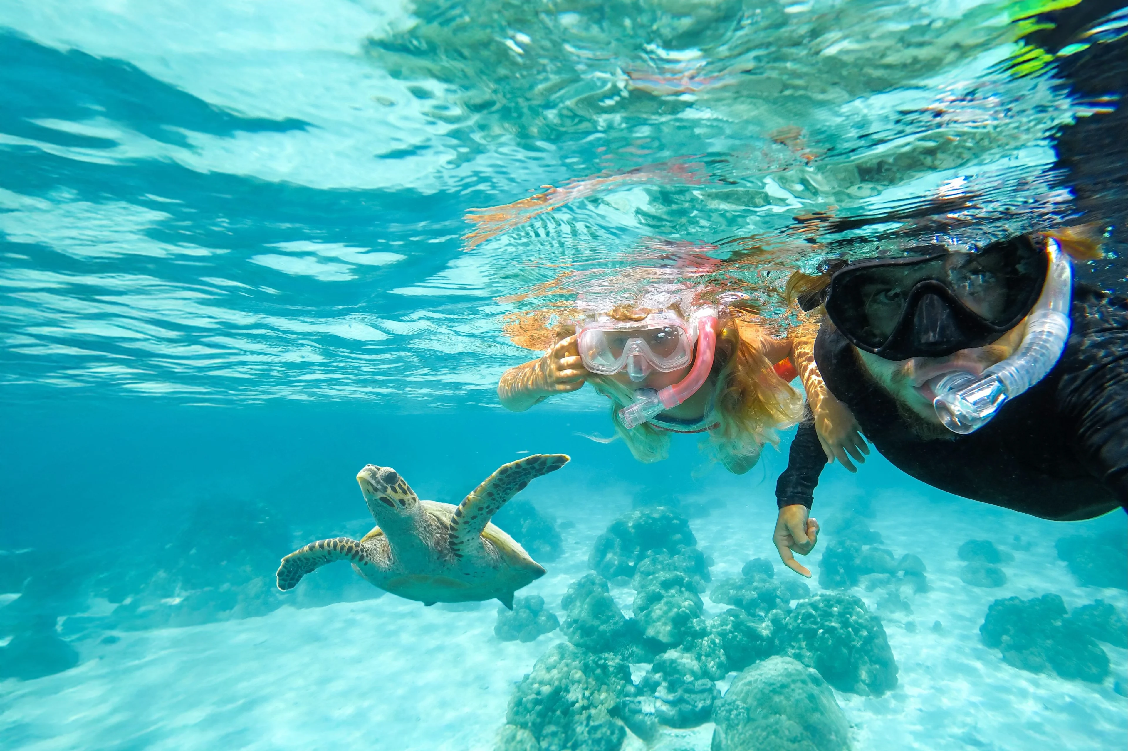 Galapagos - Wave Grid