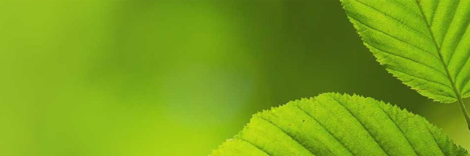 Corporate Social Responsibility (CSR)