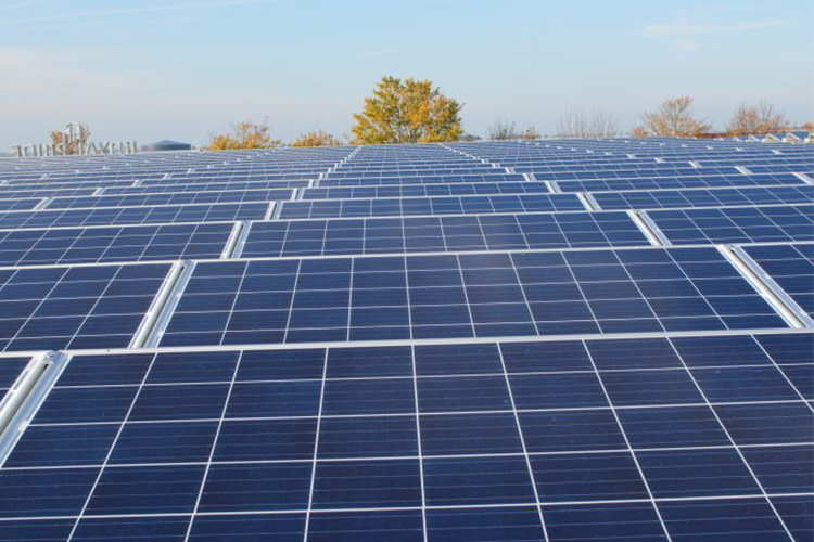 Rijen blauwe zonnepanelen onder een heldere lucht, met bomen op de achtergrond, wat een gevoel van schone energie en milieuduurzaamheid oproept.