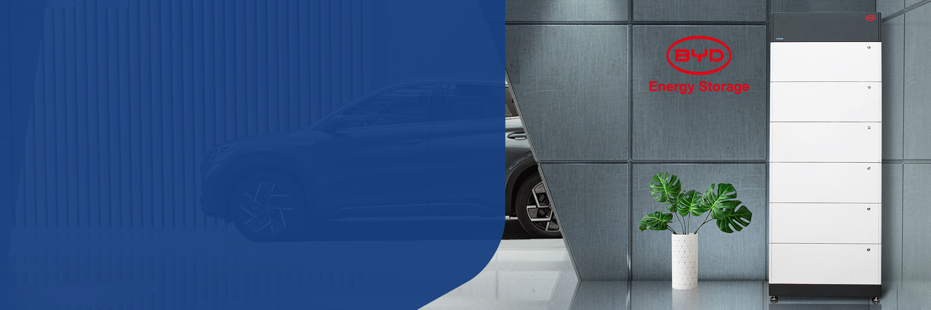 BYD-hero-banner