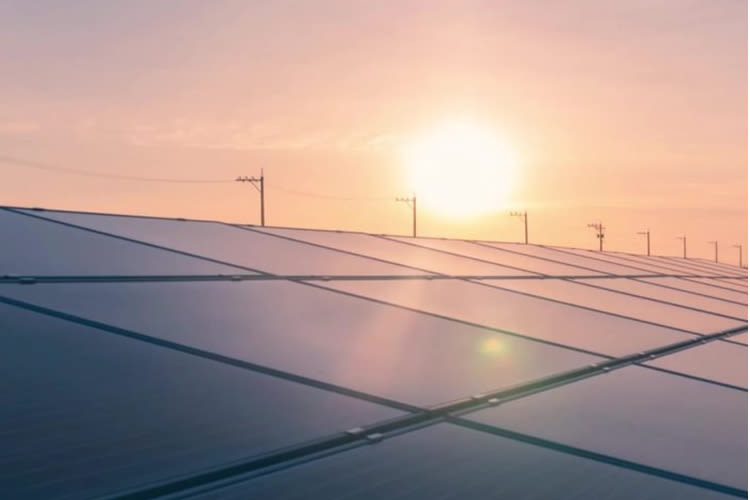 Sonnenuntergang über Solarmodulen, die in ein warmes Licht getaucht sind, als Symbol für erneuerbare Energie. Die Module sind zur Sonne ausgerichtet, im Hintergrund sind Stromleitungen zu sehen.