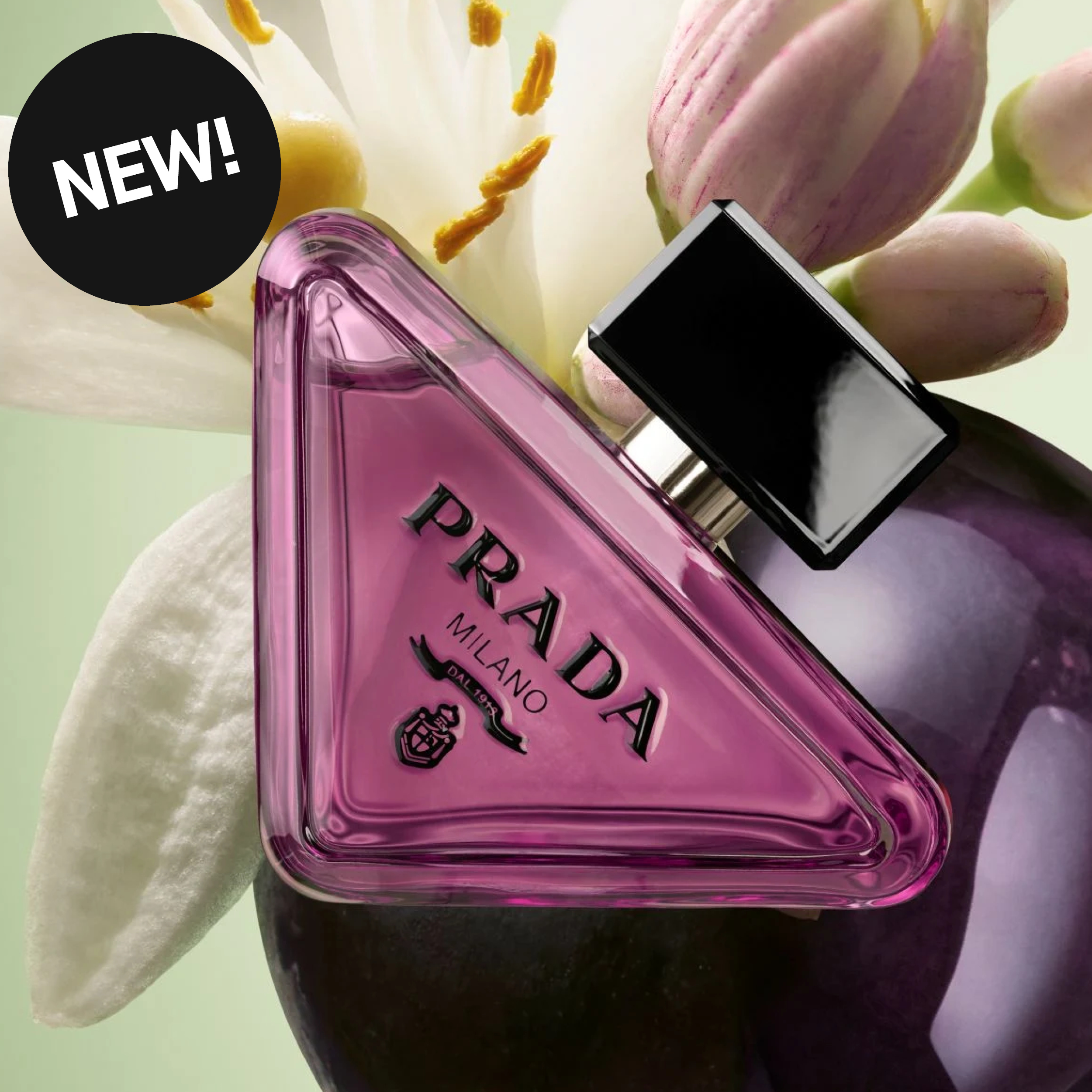 Prada Paradoxe-parfymeflaske omgitt av blomster. Tekst: «NEW!»