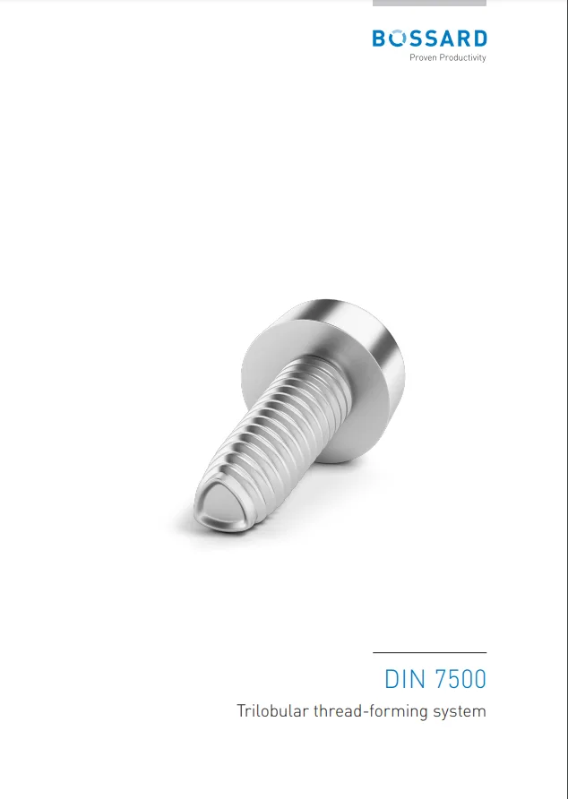 Miniature til brochure DIN 7500