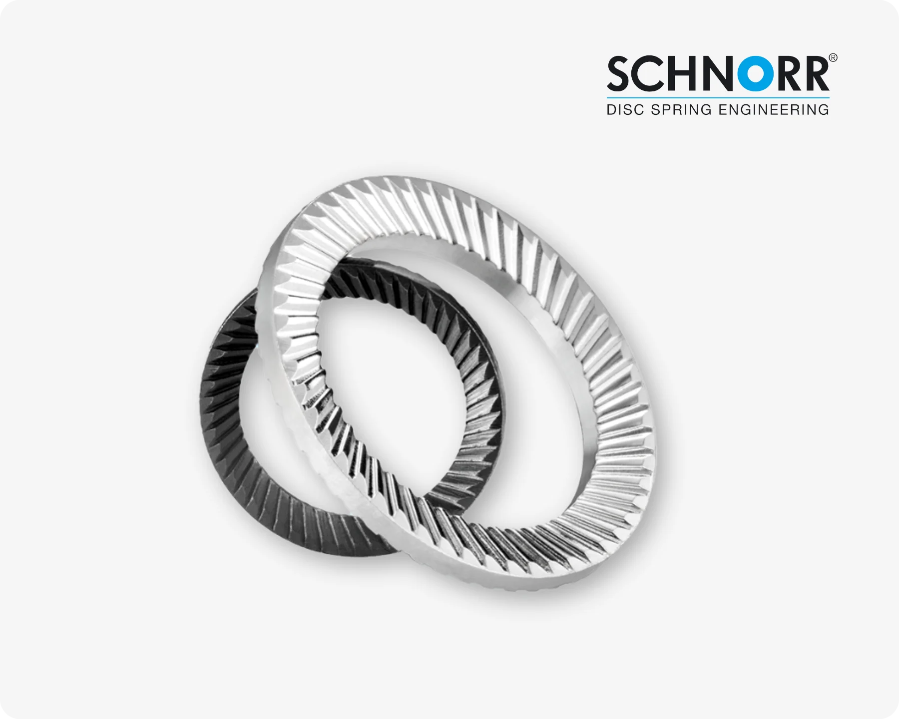 Close-up of two SCHNORR® bolt locking washers (safety washers) on light grey background.