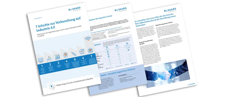 Vorschau von einem Whitepaper, Cover und zwei Unterseiten