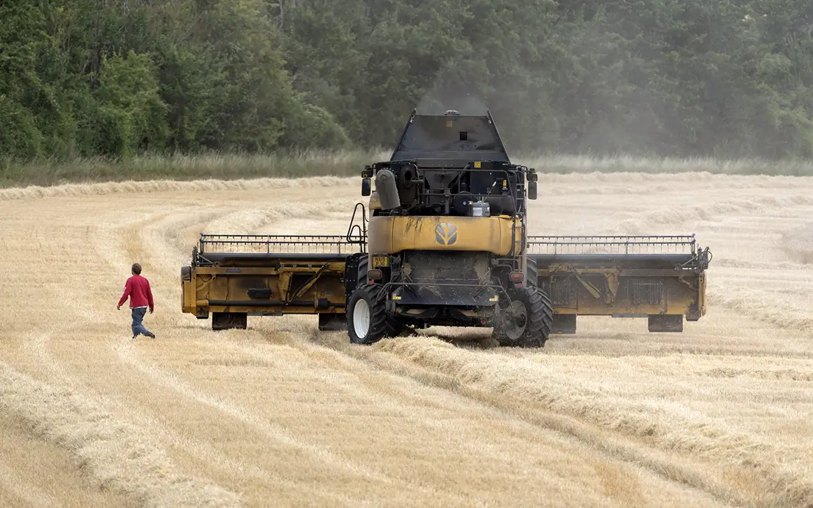 man walks through field with operating combine