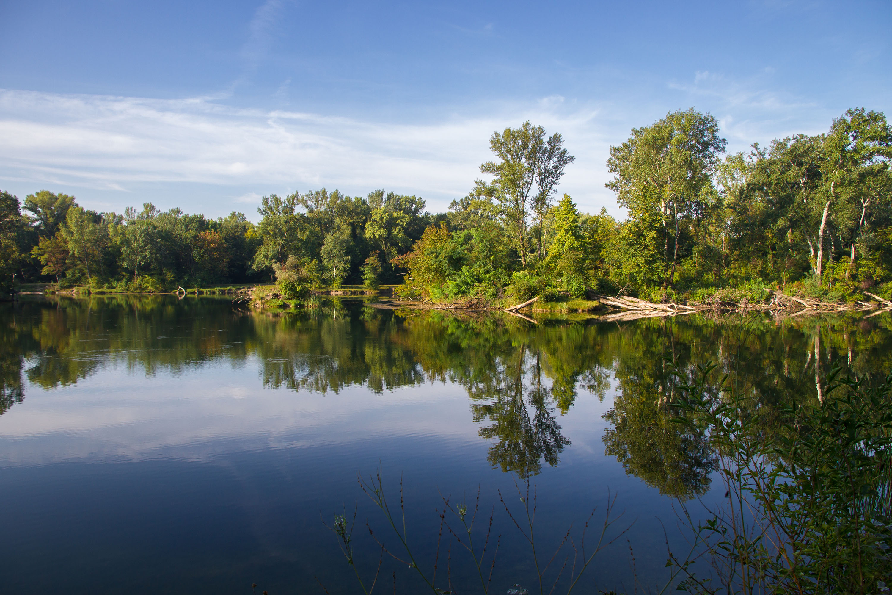 Entspannen und Energie tanken in der Wiener Lobau