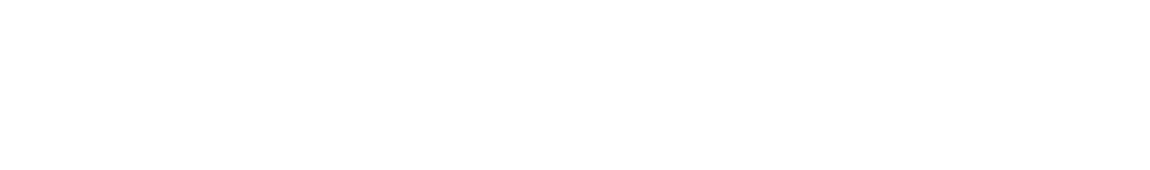 Sprinter