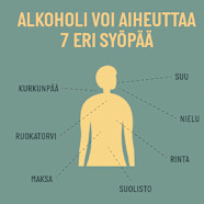 Alkoholi Lis Riski Sairastua 7 Sy p n Artikkelit Alko Alkoholi Lis Riski Sairastua 7 Sy p n Artikkelit Alko