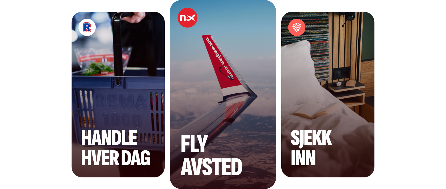 Sånn fungerer det