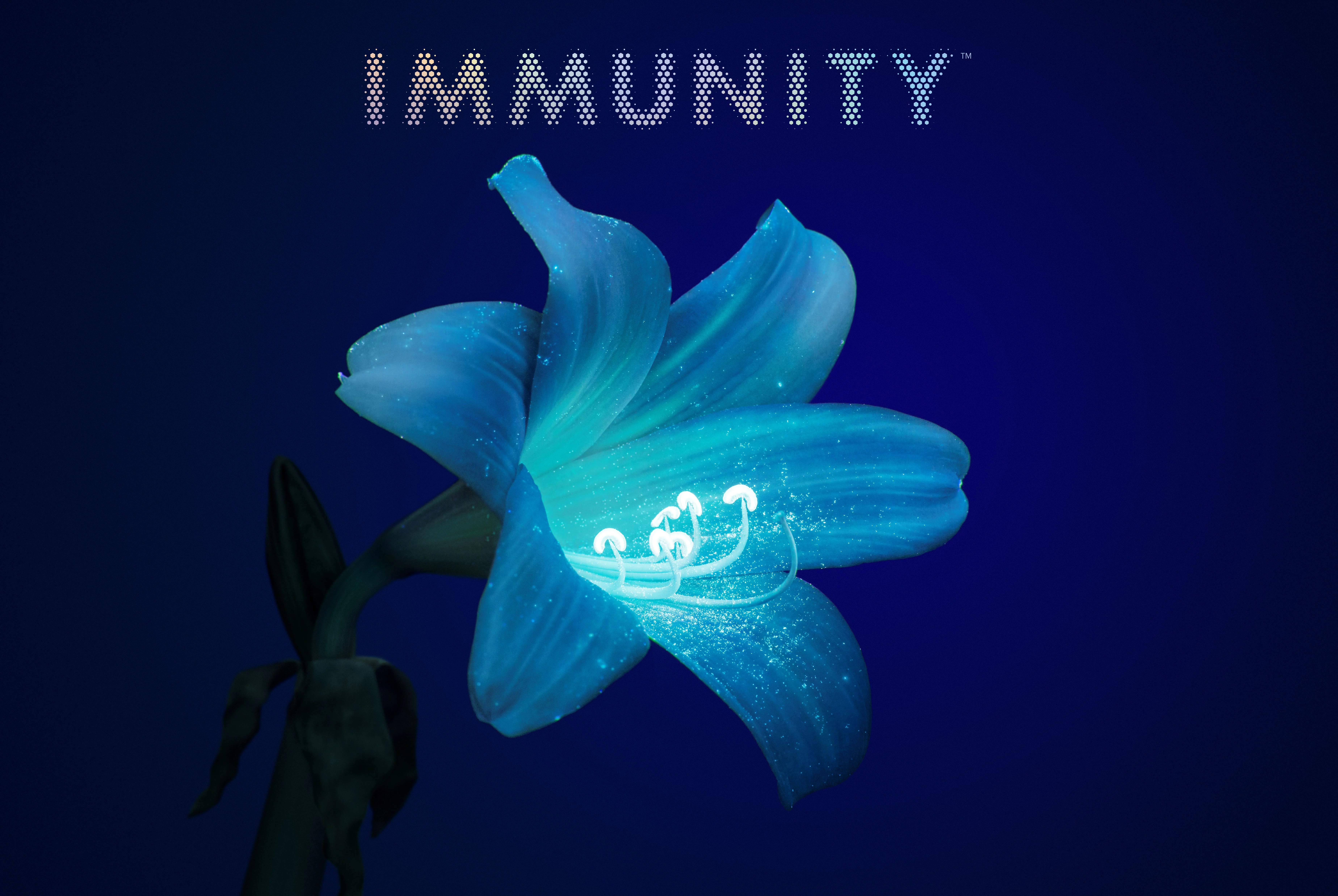 IMMUNITY 80