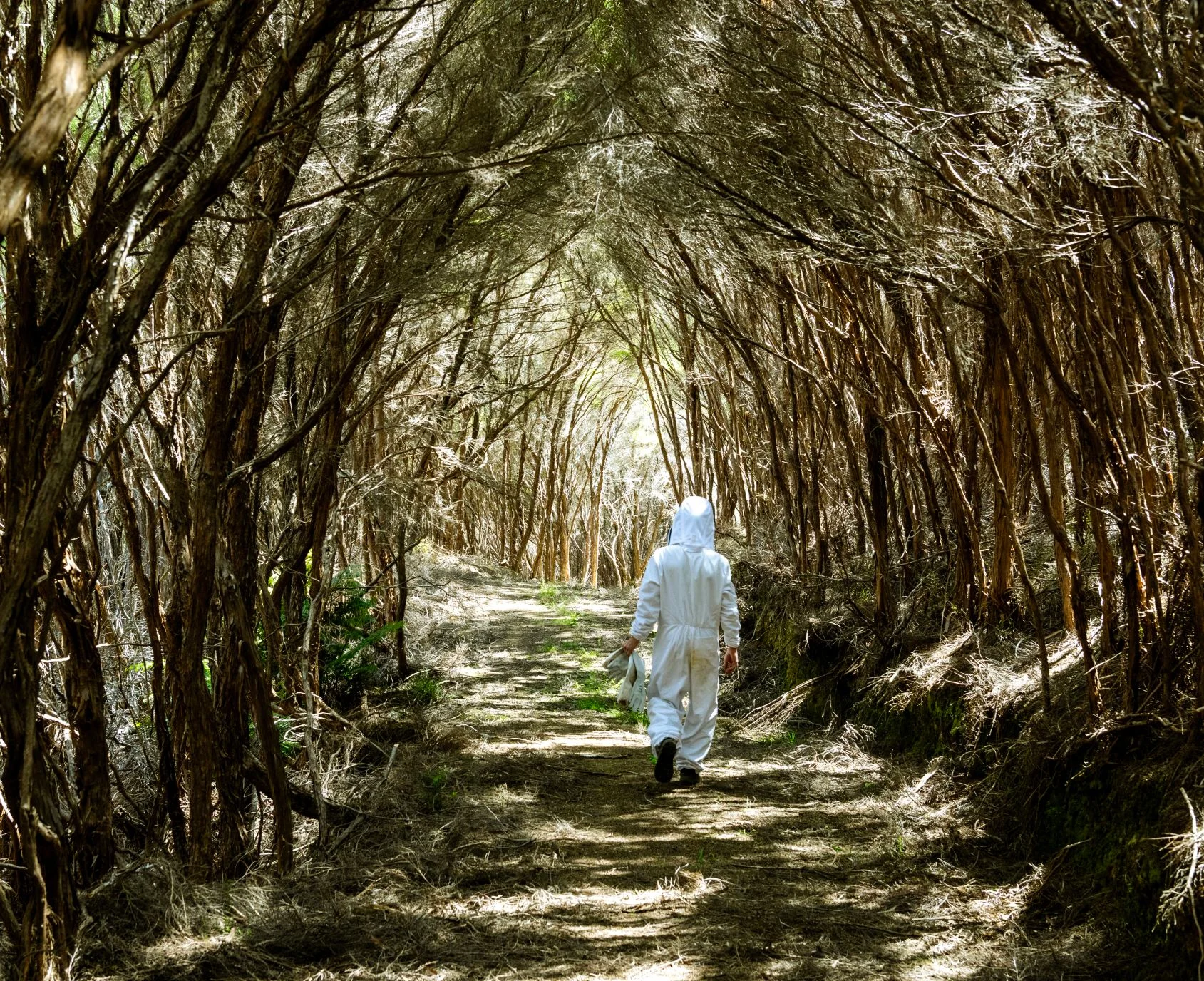 Manuka Health Beekeepers Sustainability