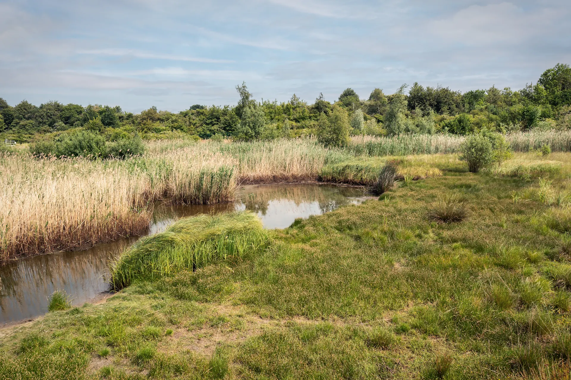 Feuchtgebiet mit Wiesen und Teichen