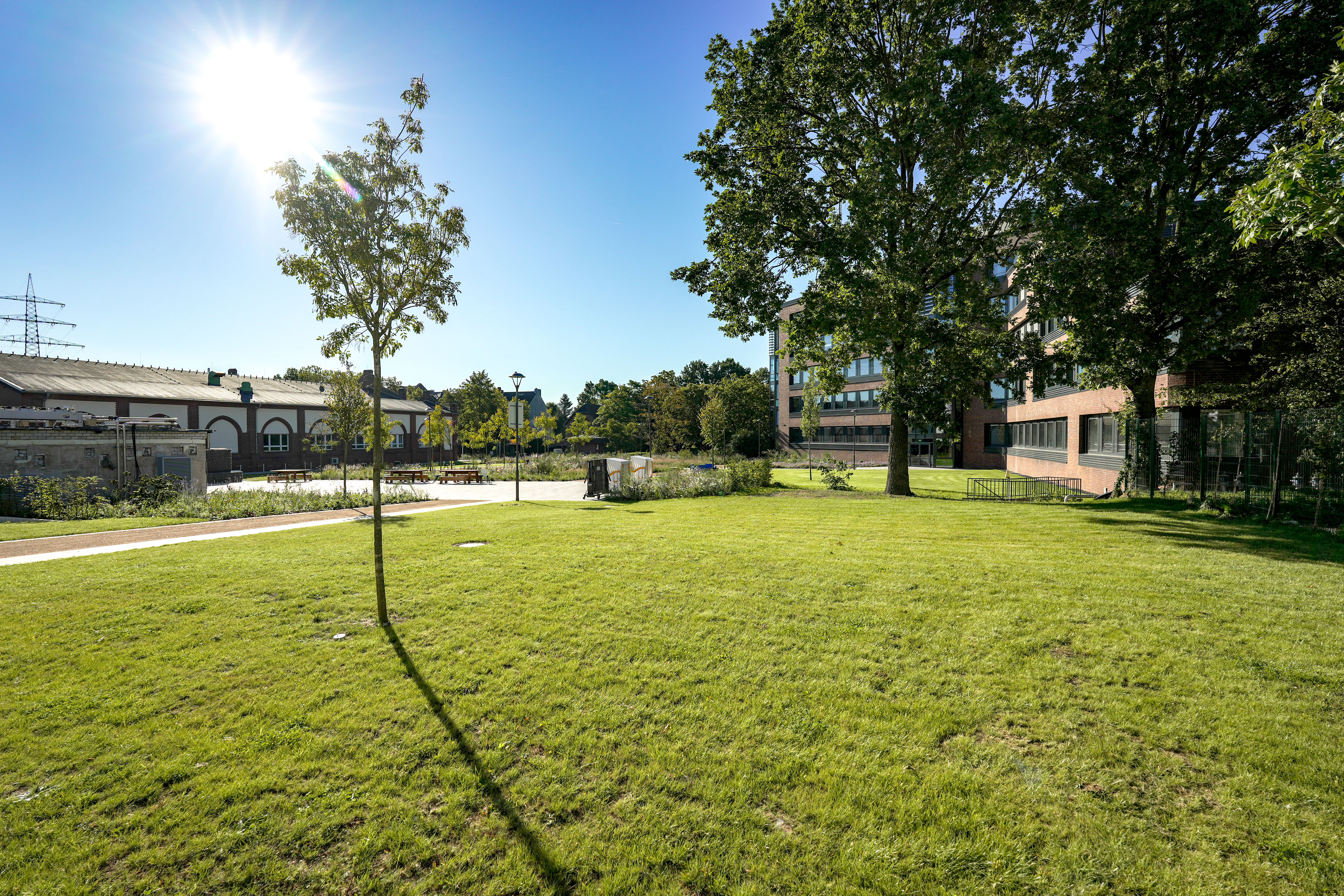Eine grüne Wiese mit einem jungen Baum in der Mitte, der einen langen Schatten wirft. Dahinter führt ein Weg zu einem offenen Bereich mit Bänken. Im Hintergrund stehen ein älteres Industriegebäude auf der linken Seite und ein modernes Bürogebäude auf der rechten Seite, umgeben von Bäumen. Die Sonne strahlt hell am blauen Himmel. 