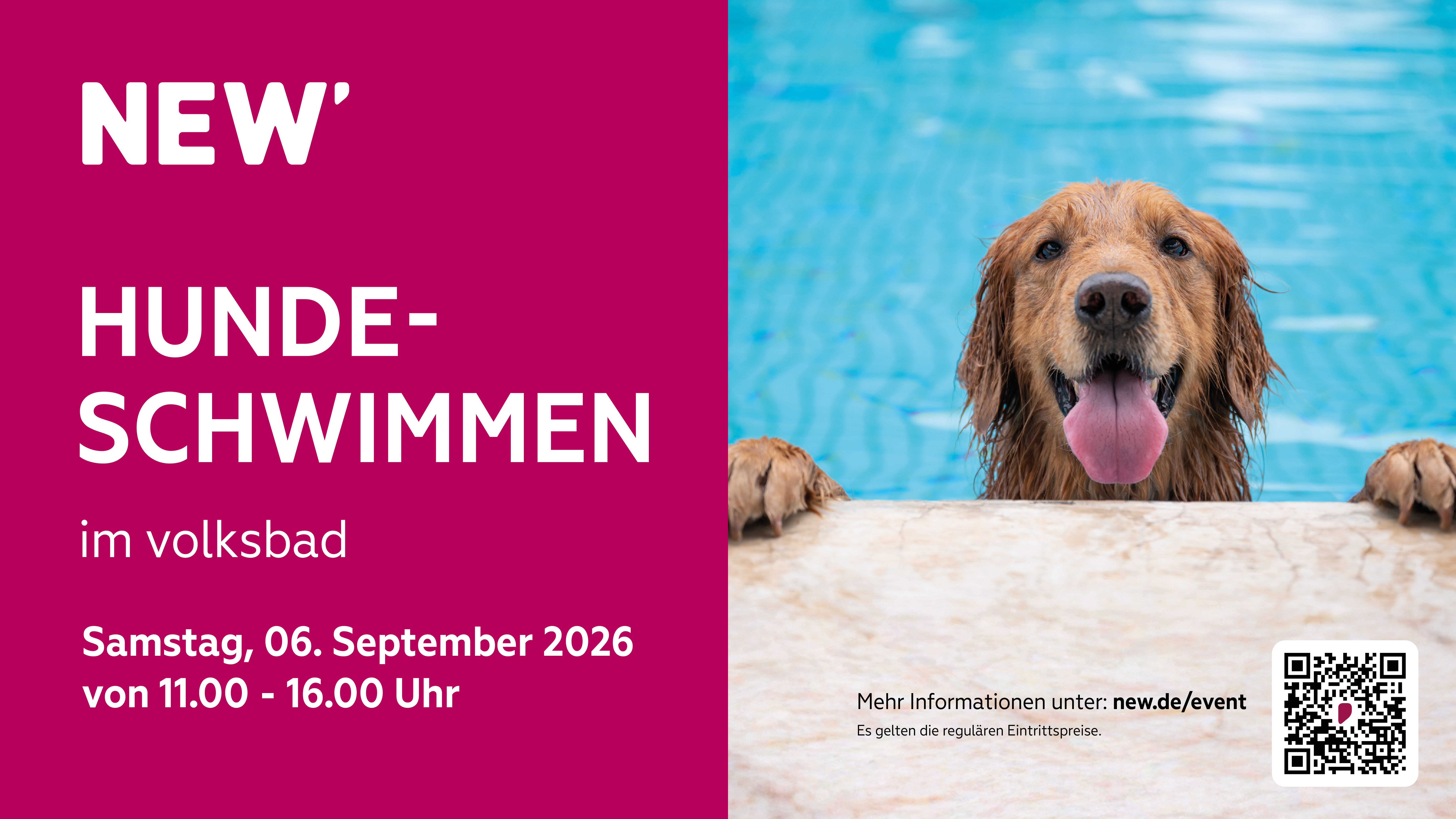 Ein Golden Retriever blickt am Beckenrand eines Schwimmbads direkt in die Kamera. Der Hund befindet sich im Wasser und stützt die Vorderpfoten auf den Rand des Pools. Im Hintergrund ist die blau schimmernde Wasseroberfläche zu sehen.