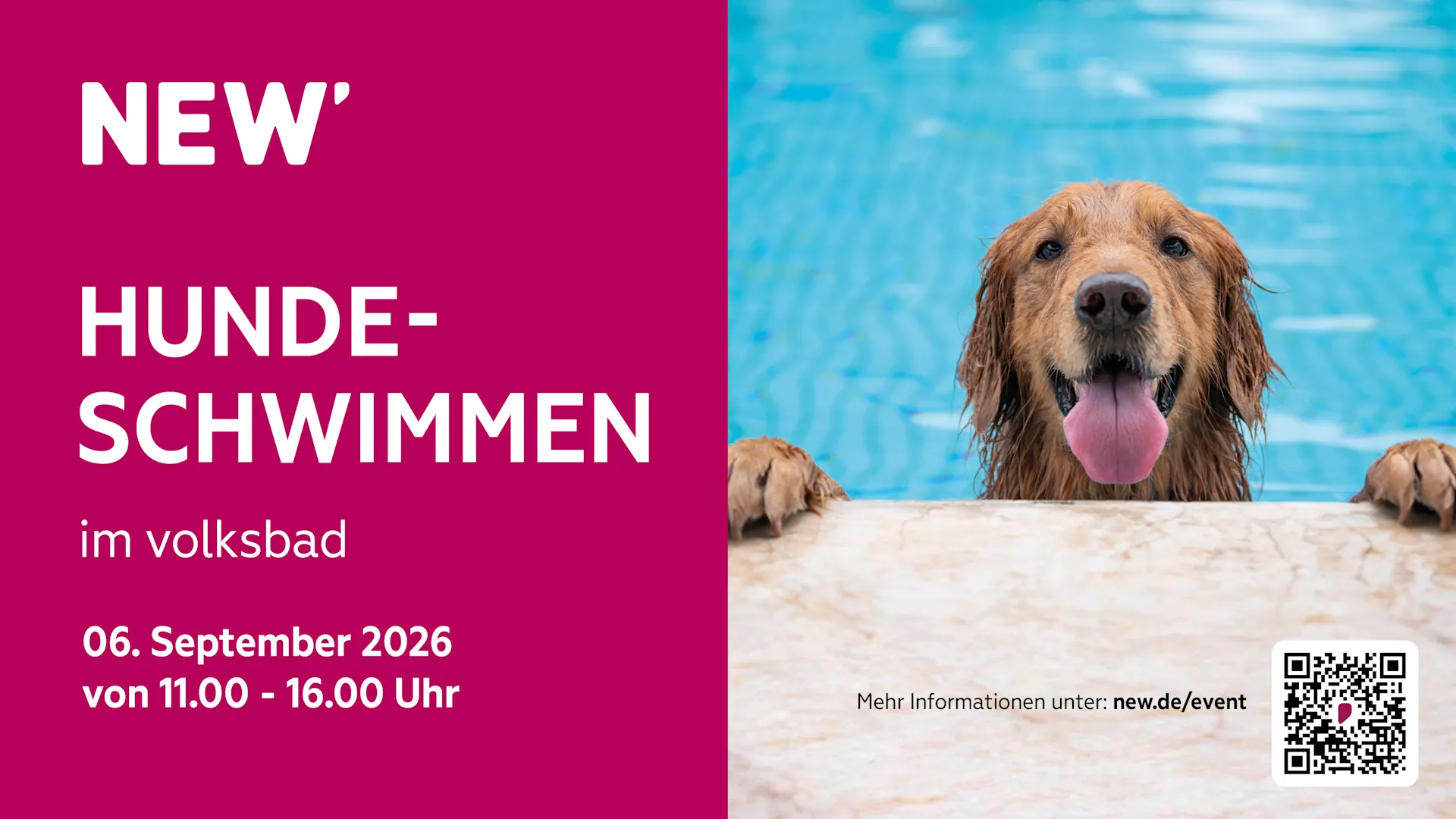 Das NEW-Hundeschwimmen 2026 Ein Golden Retriever blickt am Beckenrand eines Schwimmbads direkt in die Kamera. Der Hund befindet sich im Wasser und stützt die Vorderpfoten auf den Rand des Pools. Im Hintergrund ist die blau schimmernde Wasseroberfläche zu sehen.