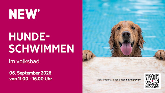 Das NEW-Hundeschwimmen 2026 Ein Golden Retriever blickt am Beckenrand eines Schwimmbads direkt in die Kamera. Der Hund befindet sich im Wasser und stützt die Vorderpfoten auf den Rand des Pools. Im Hintergrund ist die blau schimmernde Wasseroberfläche zu sehen.