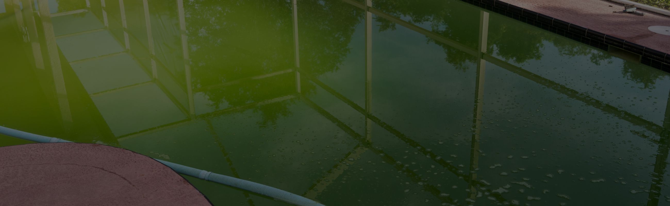 5 Reasons Why Your Pool Is Still Green Or Cloudy After Shocking