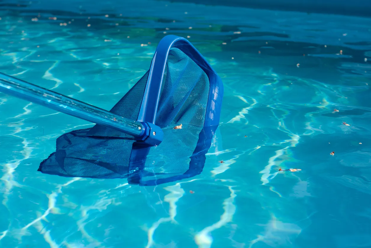 How To Get Rid of Water Bugs In Your Pool?